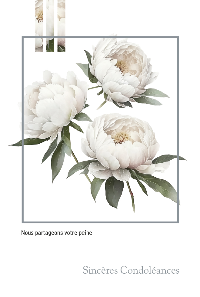  CI CONDO 12*17  PURETE DOR.ARGENT /GAUF