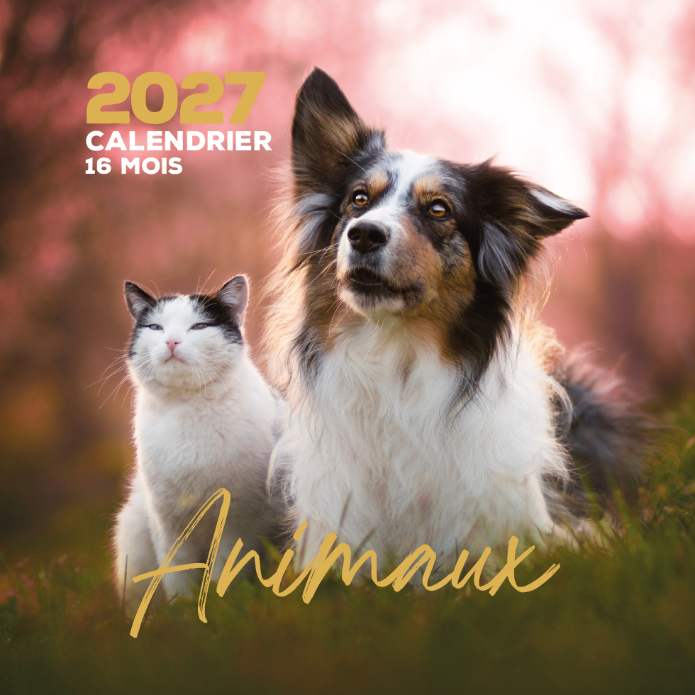 CALENDRIER POCHETTE ANIMAUX 16 X 16.5 CM 2027