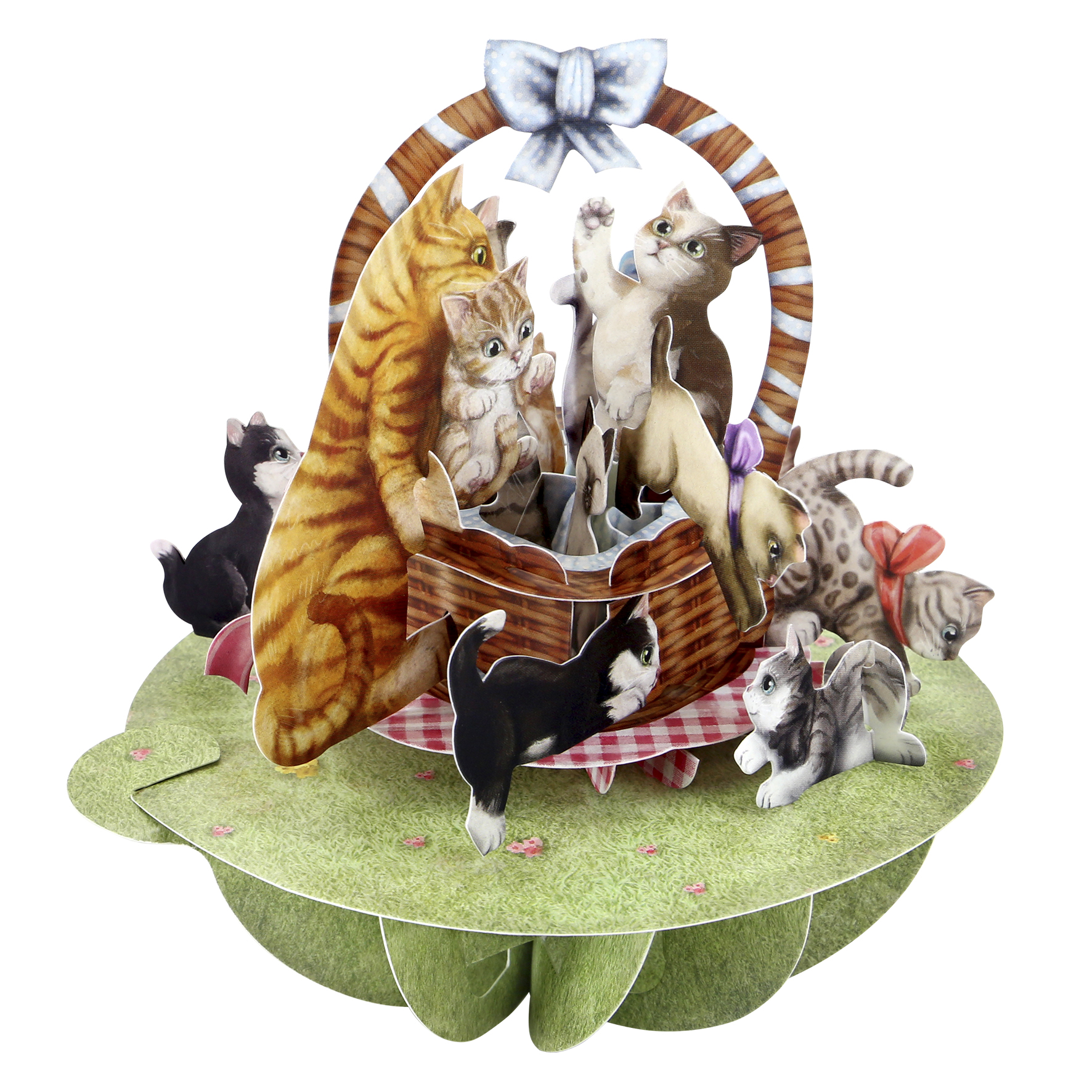 CARNET PIROUETTE 3 D PANIERS DE CHATS
