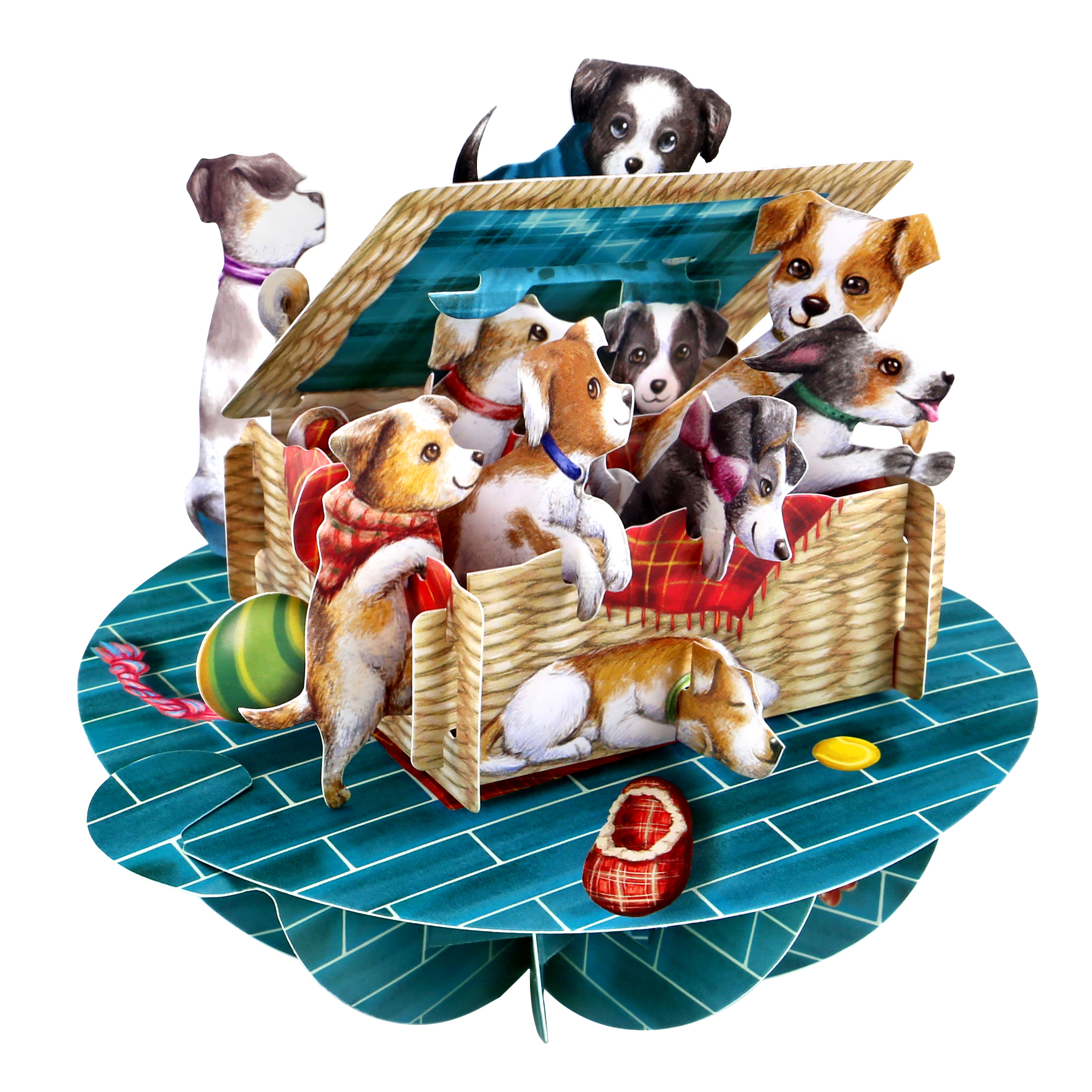 CARNET PIROUETTE 3 D  CHIOTS