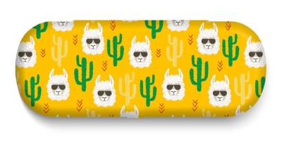 ETUI A LUNETTES 01