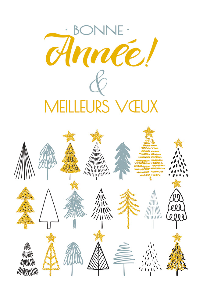  BA  SAPINS