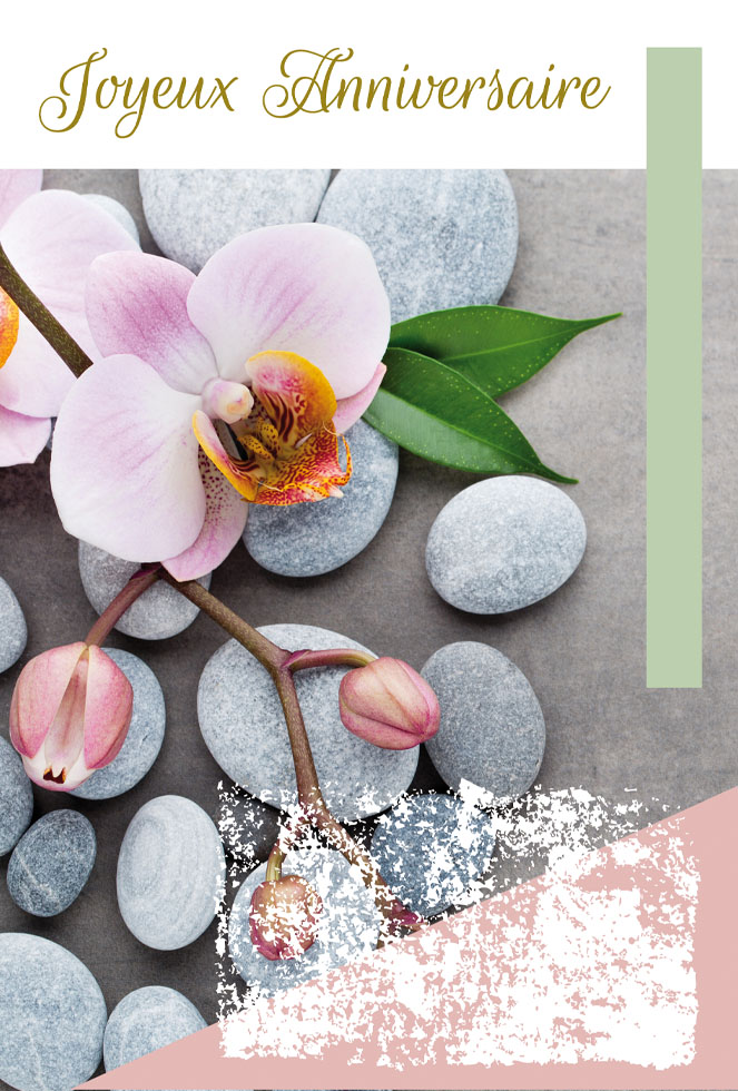 ANNIVERSAIRE  ZEN ATTITUDE dorure /gaufrage