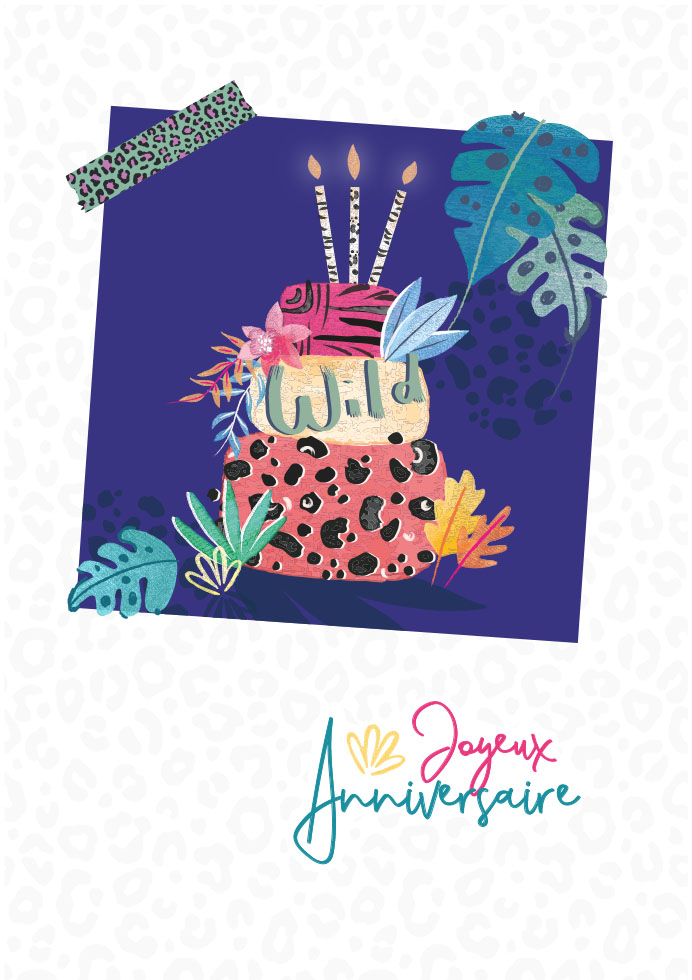 Romance Anniversaire Mixte