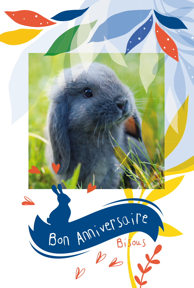 CI ANNIV MIXTE LAPIN dorure/gauf)