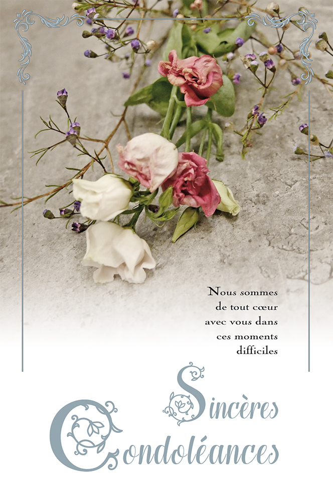  CI CONDO 12*17  ROSES ECHOUEES DOR.ARGENT /GAUF