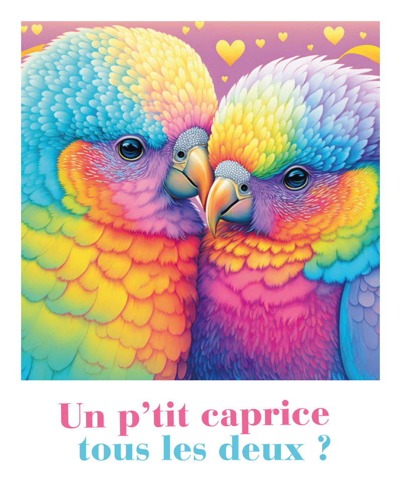 MAGNET FANTAISIE POLAROID