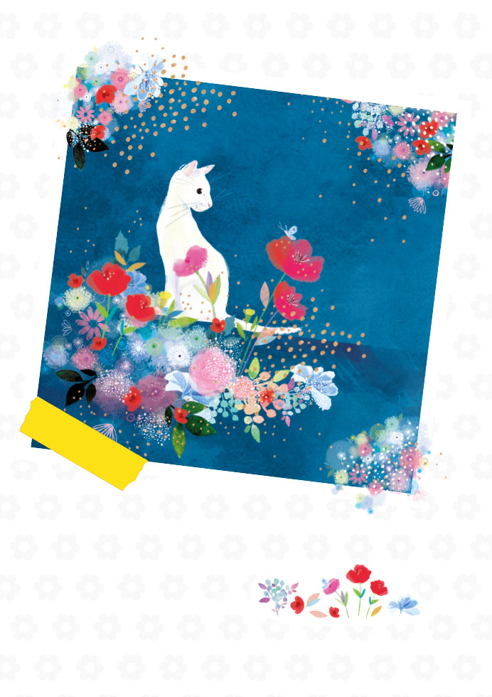 Romance Félicitations