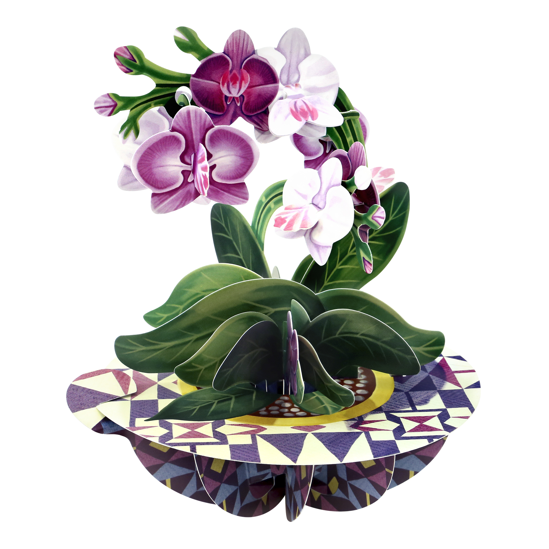 CARNET PIROUETTE 3 D    ORCHIDEE