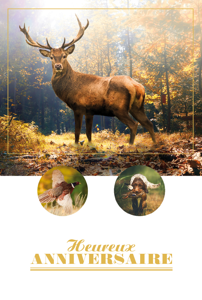 ANNIV HOMME  ANIMAUX DE LA FORÊT Dorures