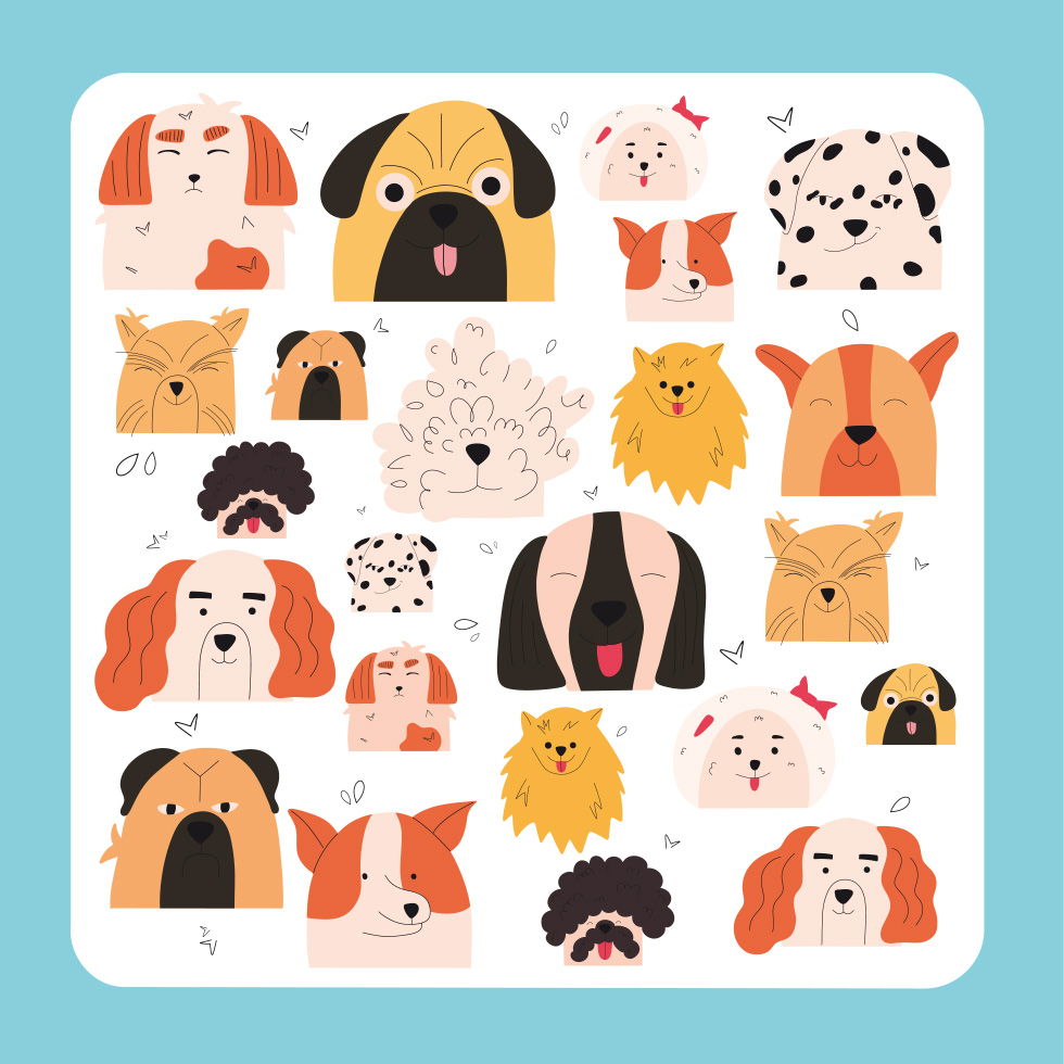 CDFOR95 NOUVEAU 2026