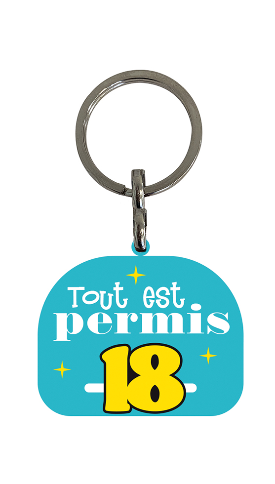 18 ANS TOUT EST PERMIS