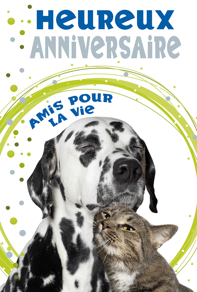 ANNIV CHIEN CHAT dorure