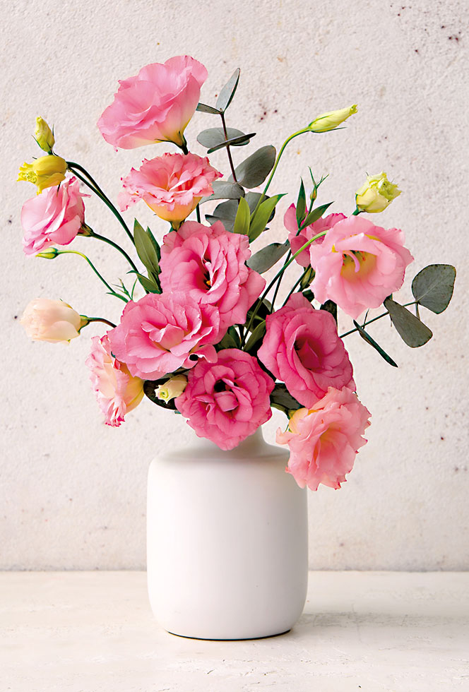 FLEUR NEW