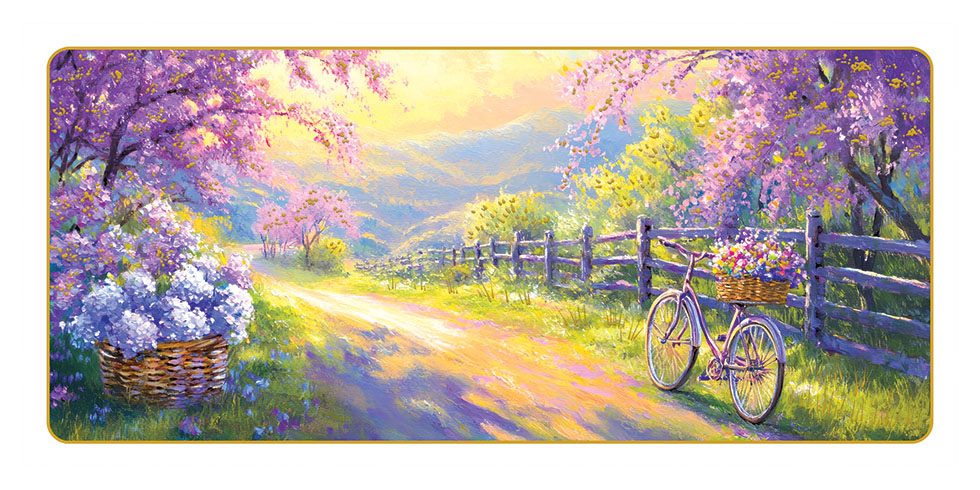 PROMENADE A BICYCLETTE ...NEW 2026
