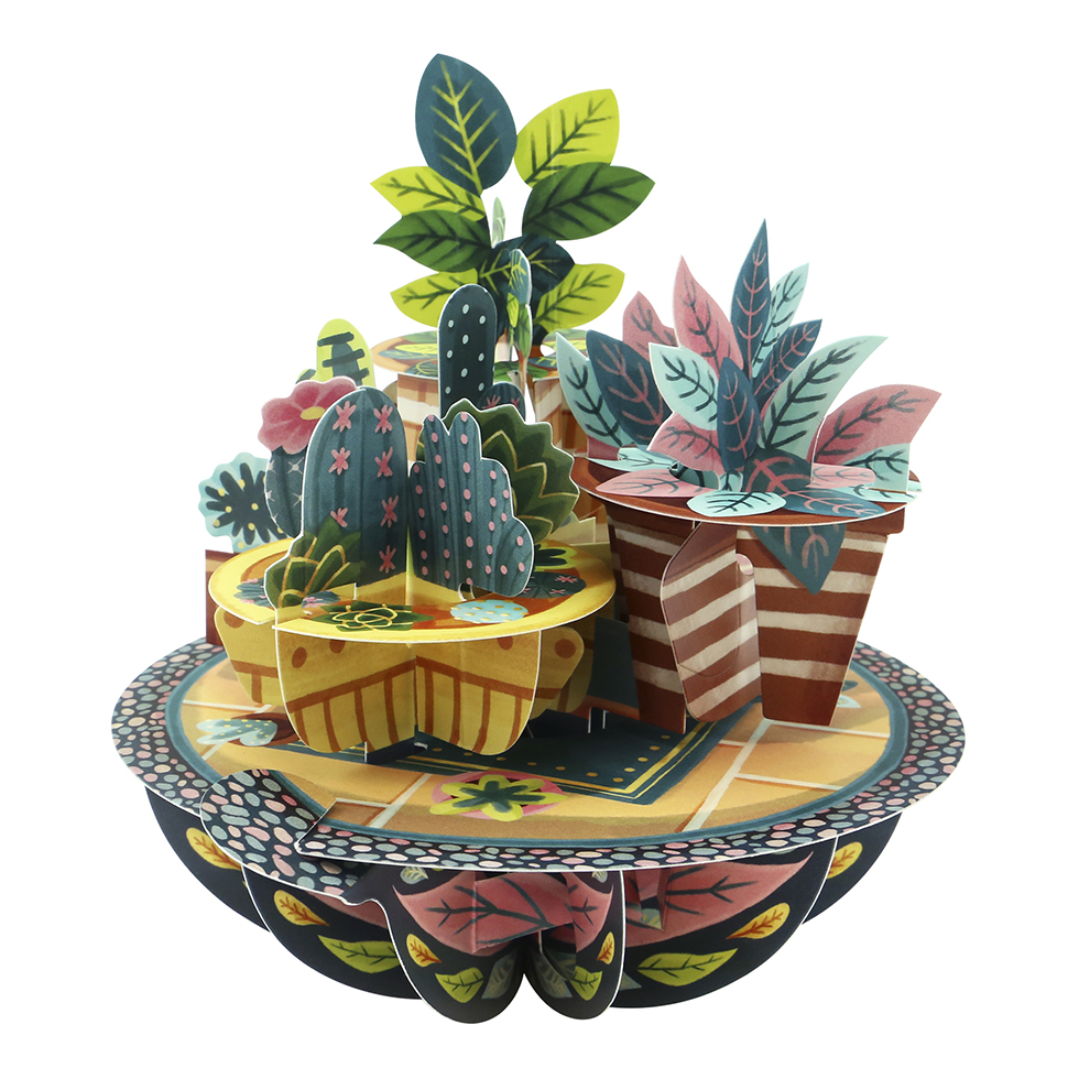 CARNET PIROUETTE 3 D    CACTUS