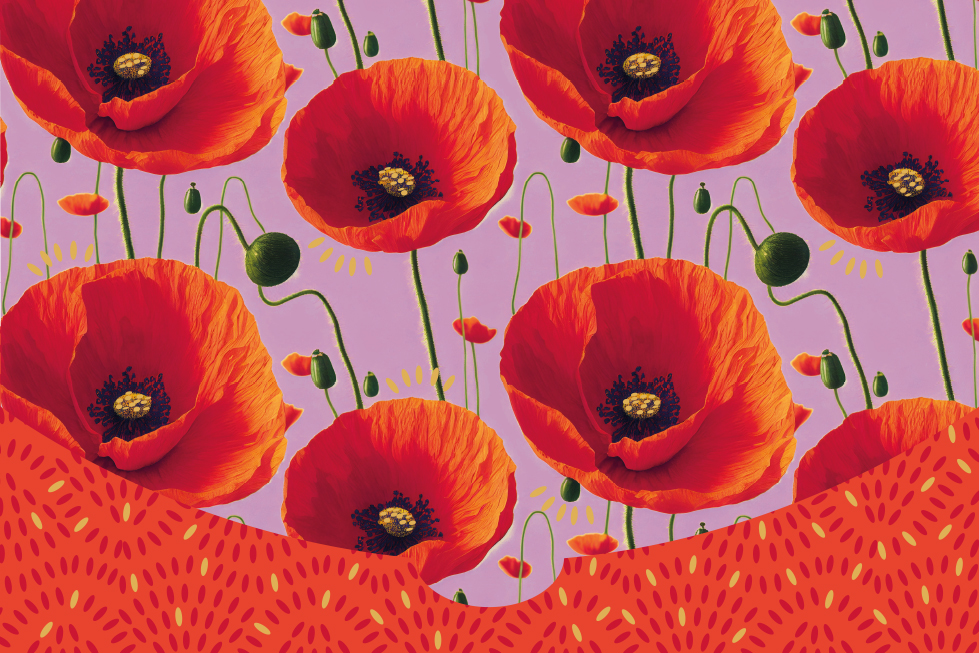 Porte billet For You Sans texte