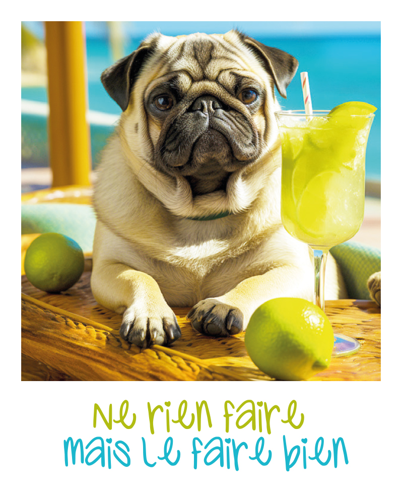 MAGNET FANTAISIE POLAROID