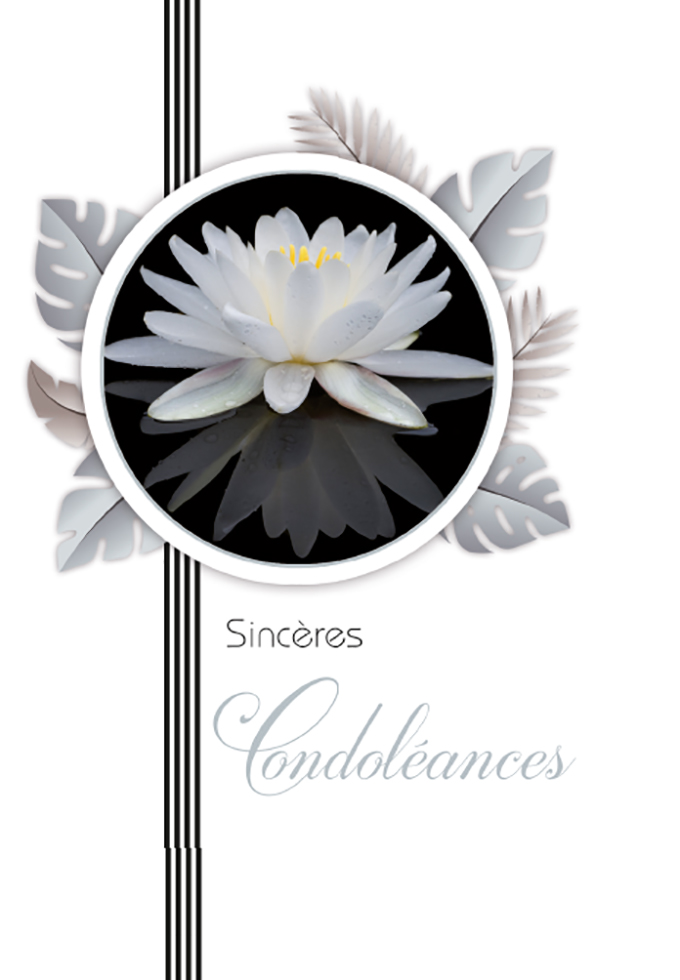  CI CONDO 12*17  FLEURS BLANCHES  DOR.ARGENT /GAUF