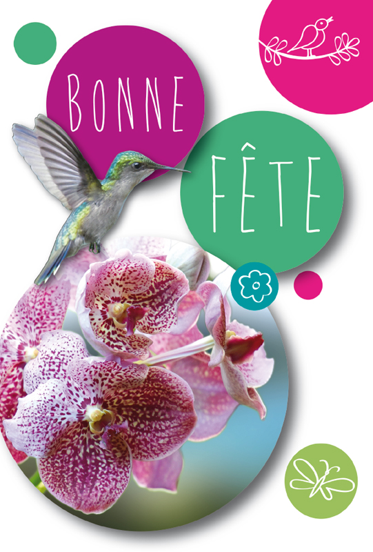 BONN FËTE FLEUR COLIBRI 