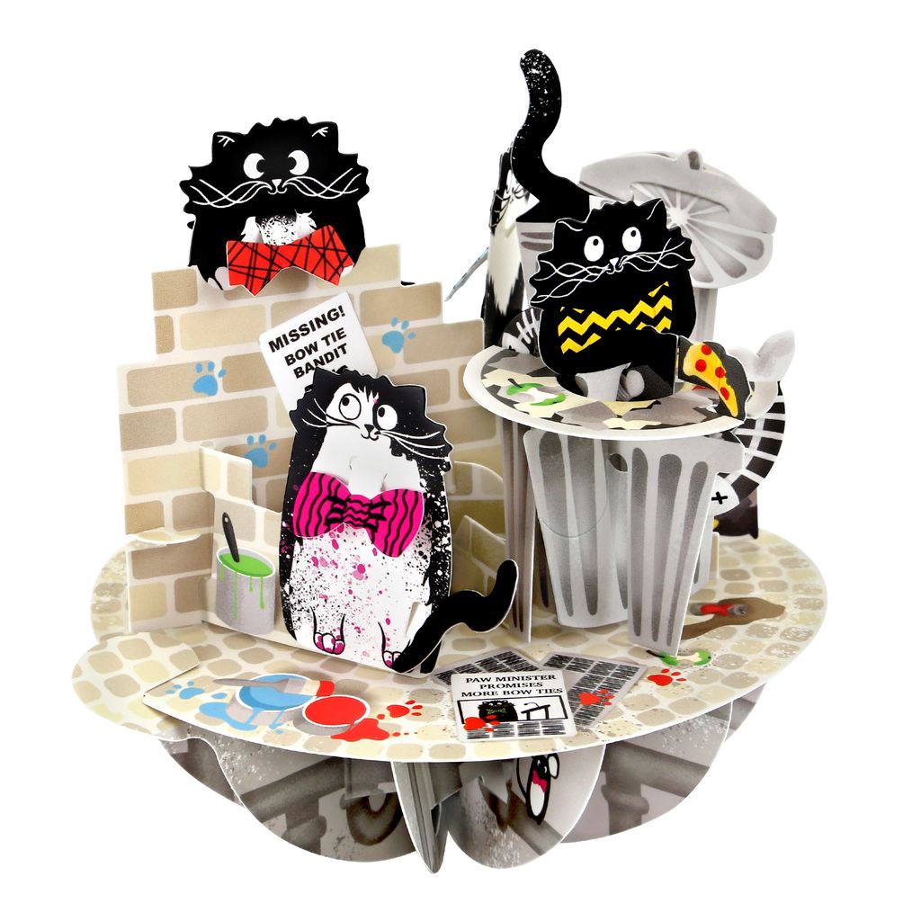 CARNET PIROUETTE 3 D  CHATS