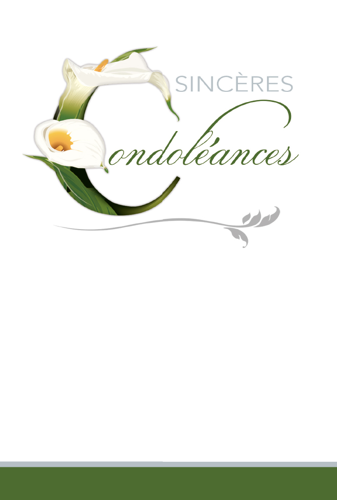  CI CONDO 12*17   ARÔME DOR.ARGENT /GAUF