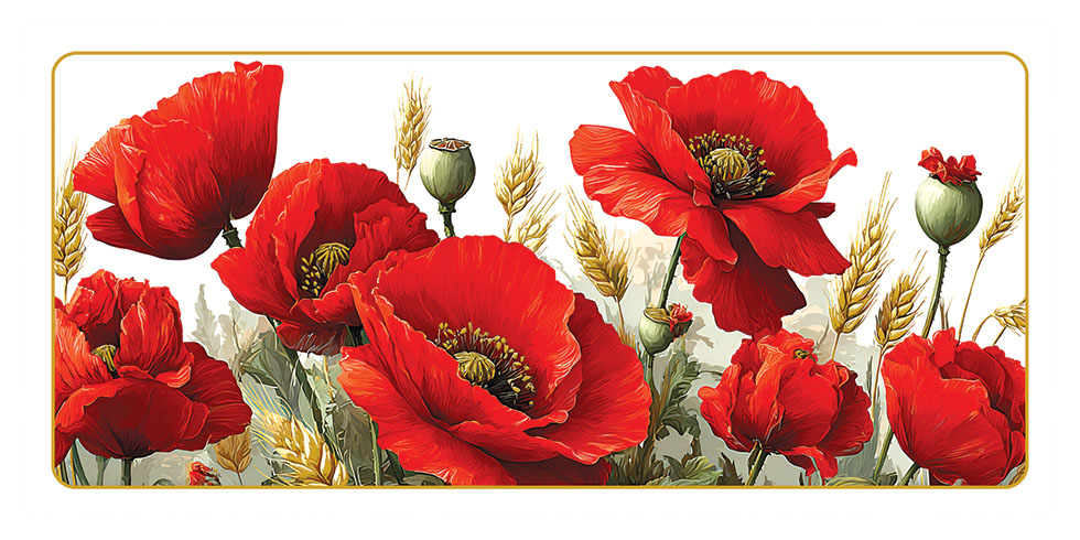 CHAMP DE COQUELICOT ...NEW 2026