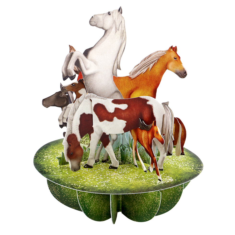 CARNET PIROUETTE 3 D  CHEVAUX