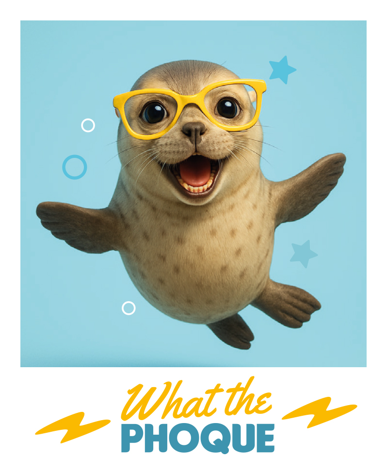 MAGNET FANTAISIE POLAROID